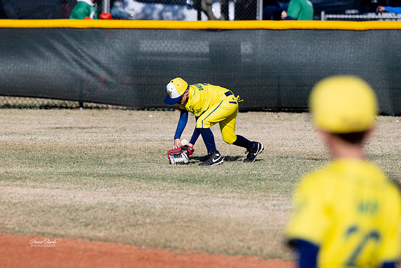 Savana Bananas Oct 2024-7