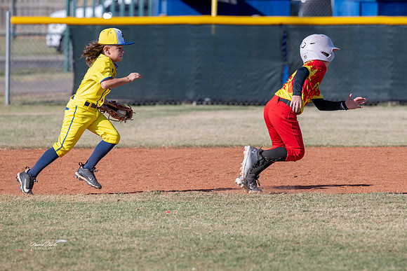 Savana Bananas Oct 2024-11