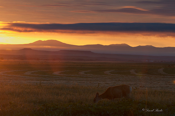 Philmont Aug 2013-32