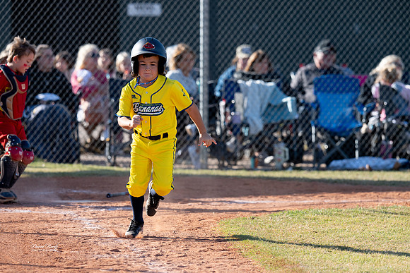 Savana Bananas Oct 2024-3