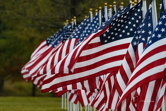 Field of Honor 11-10-21-15