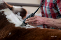 Stock Show 2019-2