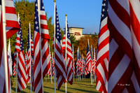 Field of Honor 2020-22