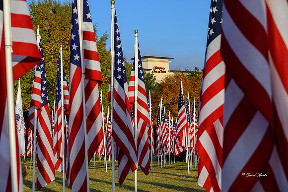 Field of Honor 2020-22