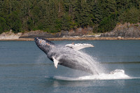 Alaska
