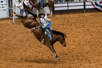 Stock Show 2018-5