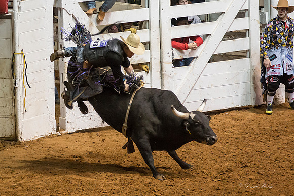 Stock Show 1-30-15-117