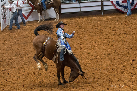 Stock Show 2018-7