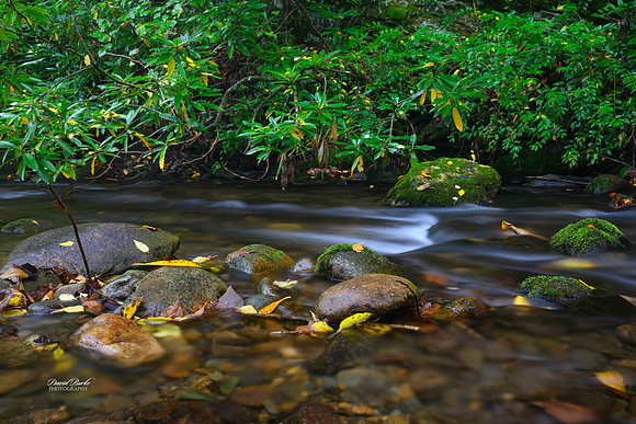 GSMNP 2024-34