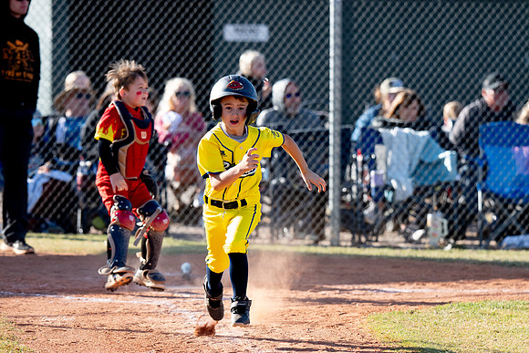 Savana Bananas Oct 2024-5