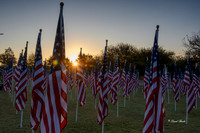 Field of Honor 2020-6