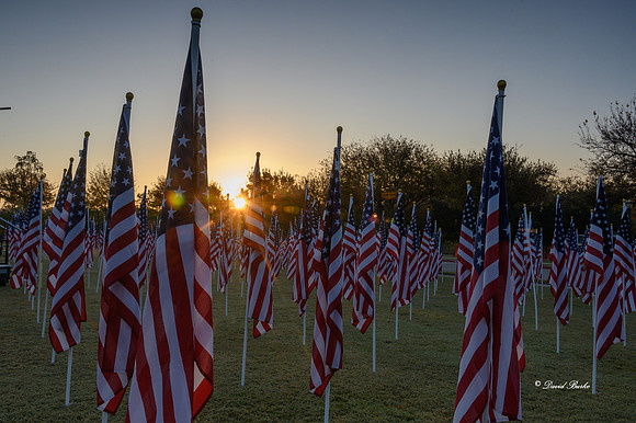 Field of Honor 2020-6