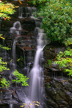 GSMNP 2024-93