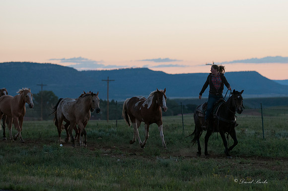 Philmont 2014-44