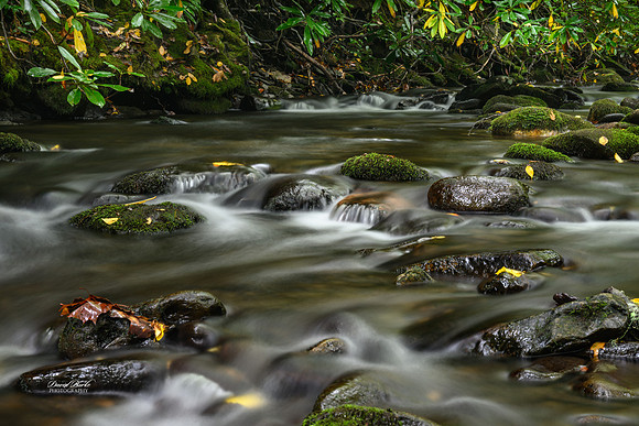 GSMNP 2024-53