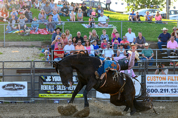 Hamel Rodeo-31
