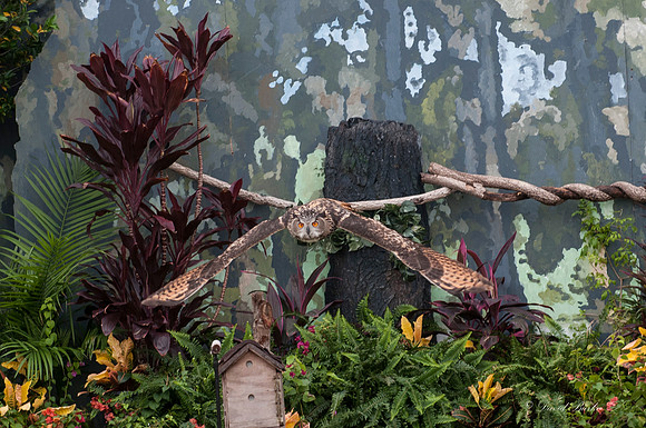 _DSC3384