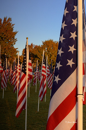 Field of Honor 2020-7