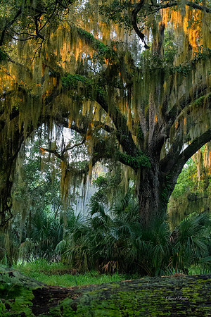 Circle B Bar Reserve 2022-3-Edit