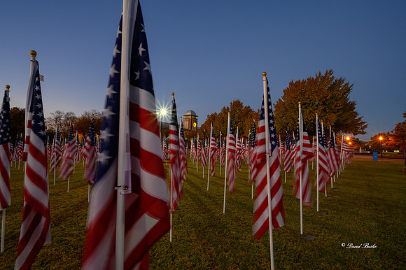 Field of Honor 2020-2-Edit