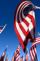 Field of Honor 2020-28