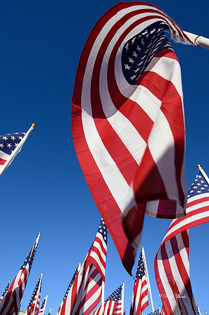 Field of Honor 2020-28