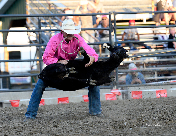 Hamel Rodeo-54