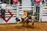 Stock Show 2018-59