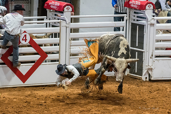 Stock Show 2018-59