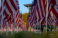 Field of Honor 2020-16