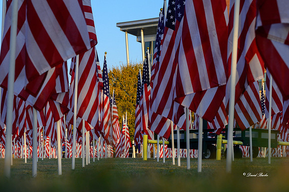 Field of Honor 2020-16
