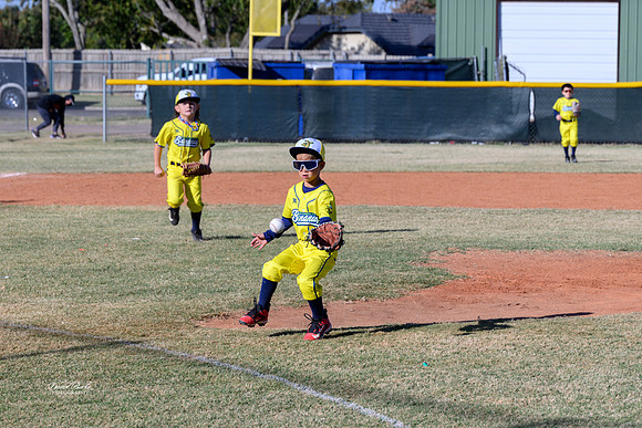 Savana Bananas Oct 2024-14