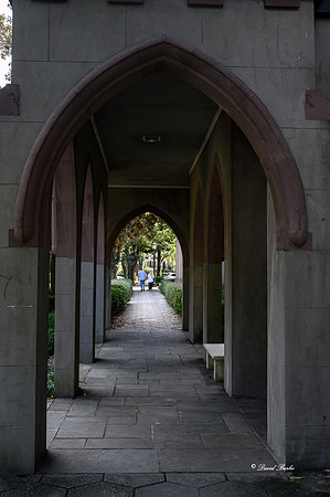 Savannah 2019-45