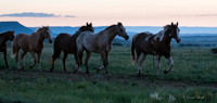 Philmont 2014-46