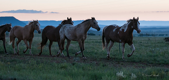 Philmont 2014-46