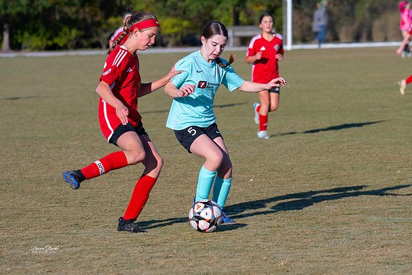 AFA Fillies Oct 2024-19