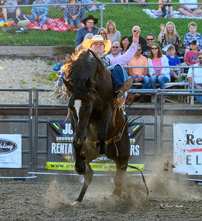 Hamel Rodeo-33