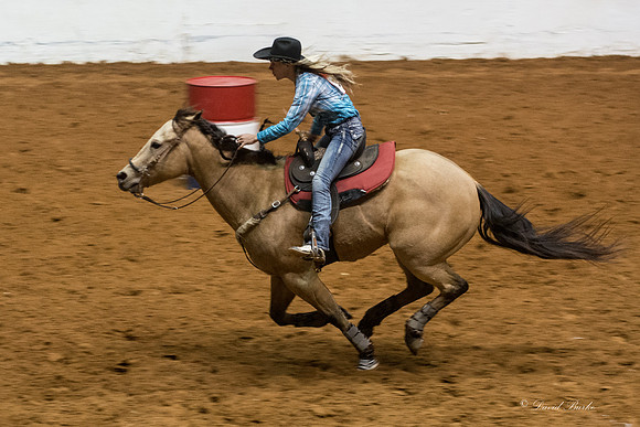 2014 Stock Show Rodeo-179