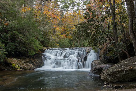 North GA fall 2017-68
