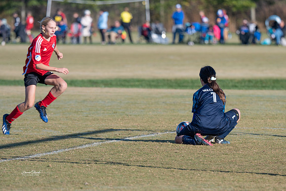 AFA Fillies Oct 2024-7