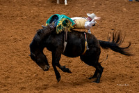 Stock Show 2019-24