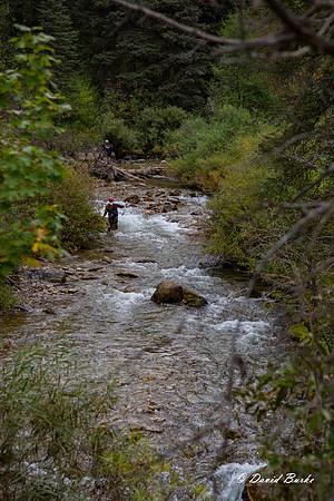 Idaho trip 2015-6