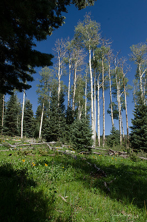 Philmont Aug 2013-9