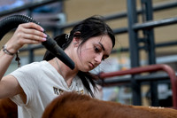 Stock Show 2019-15