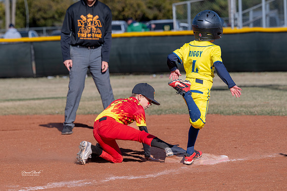 Savana Bananas Oct 2024-19