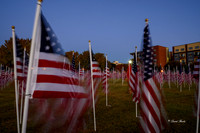 Field of Honor 2020-3