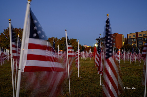 Field of Honor 2020-3