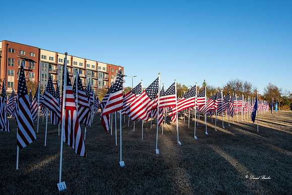 Keller Field of Honor 11-16-18-25