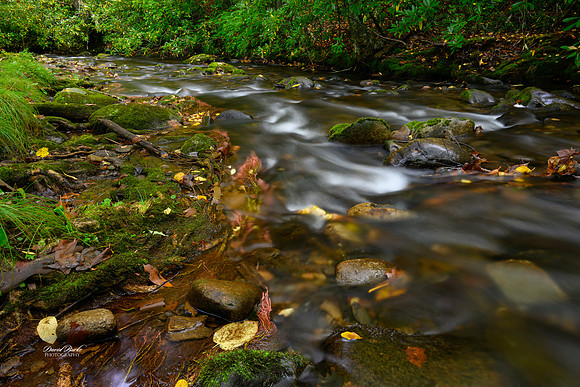 GSMNP 2024-75