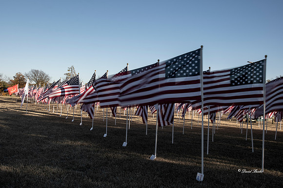 Keller Field of Honor 11-16-18-5